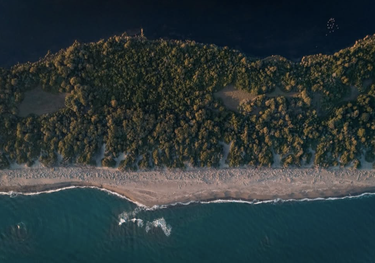 Capture d’écran 2026-01-12 à 06.04.20.png