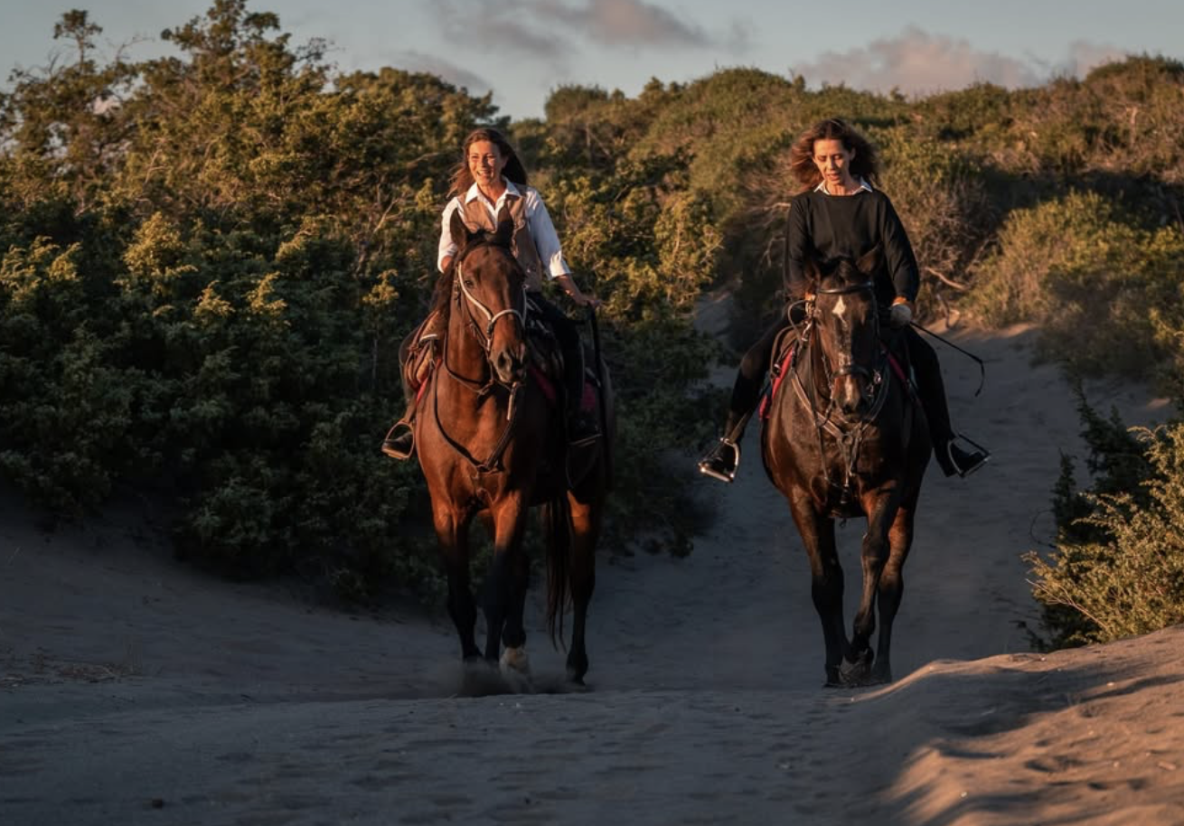 Capture d’écran 2026-01-12 à 06.03.46.png