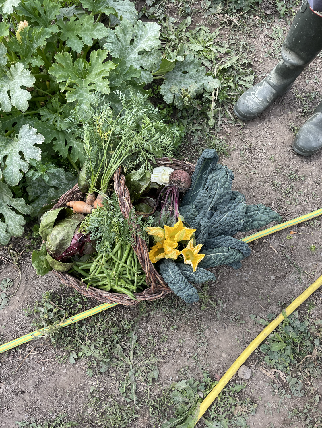 Capture d’écran 2026-01-13 à 11.53.34.png