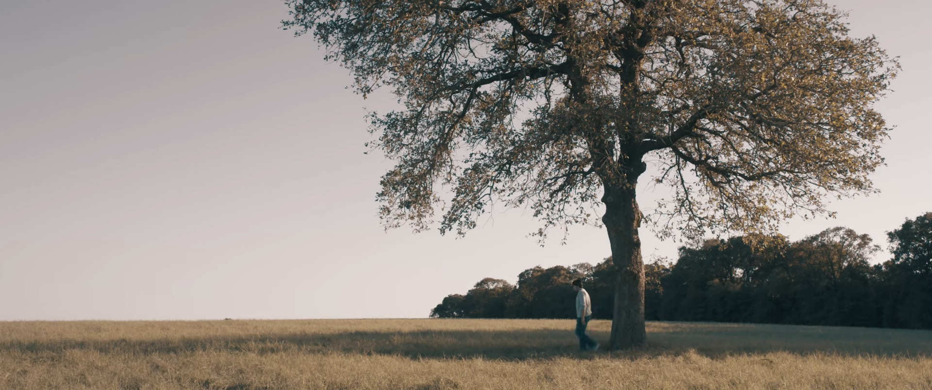 Person standing under a large tree in an open grassy field during daytime.