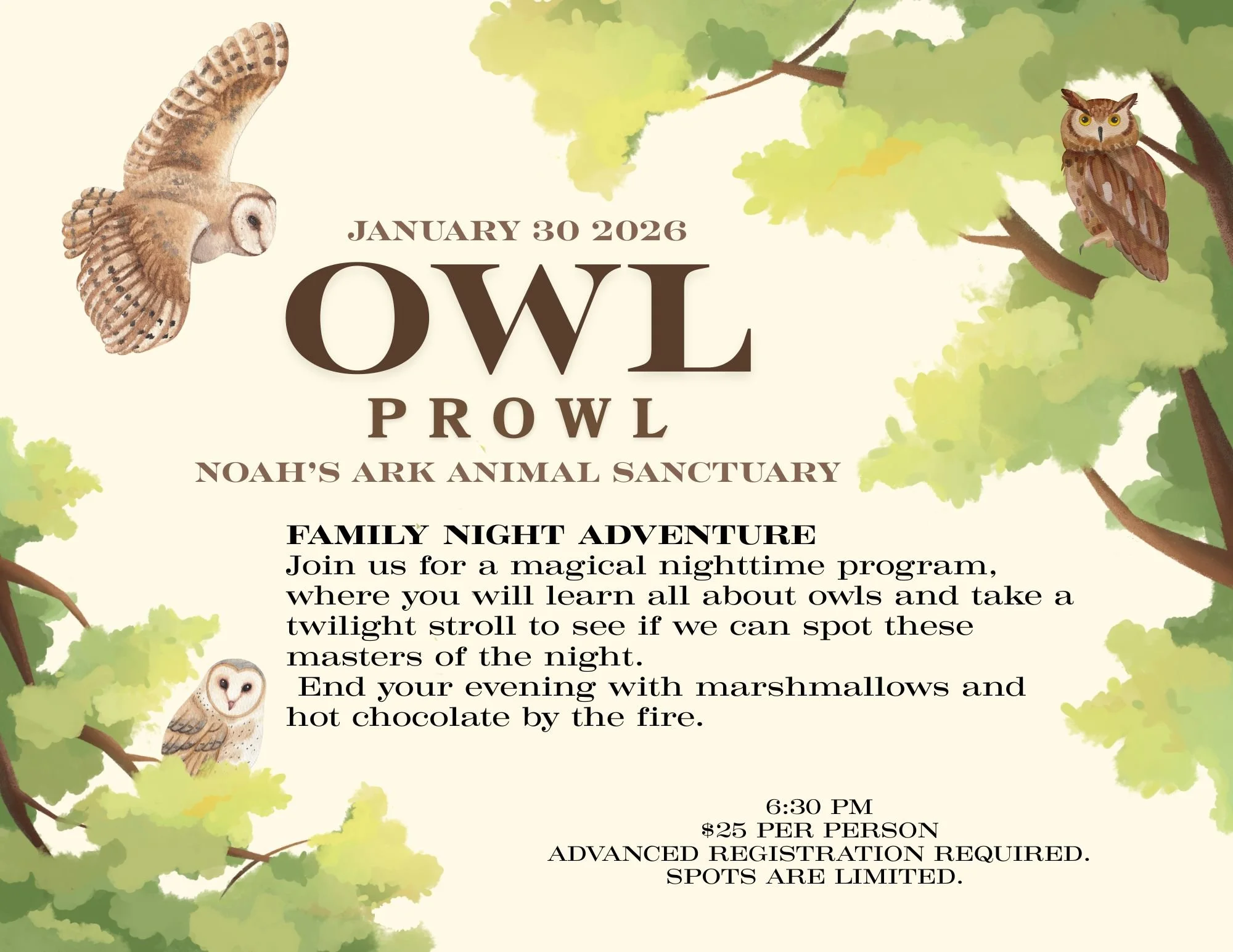 Owl Prowl