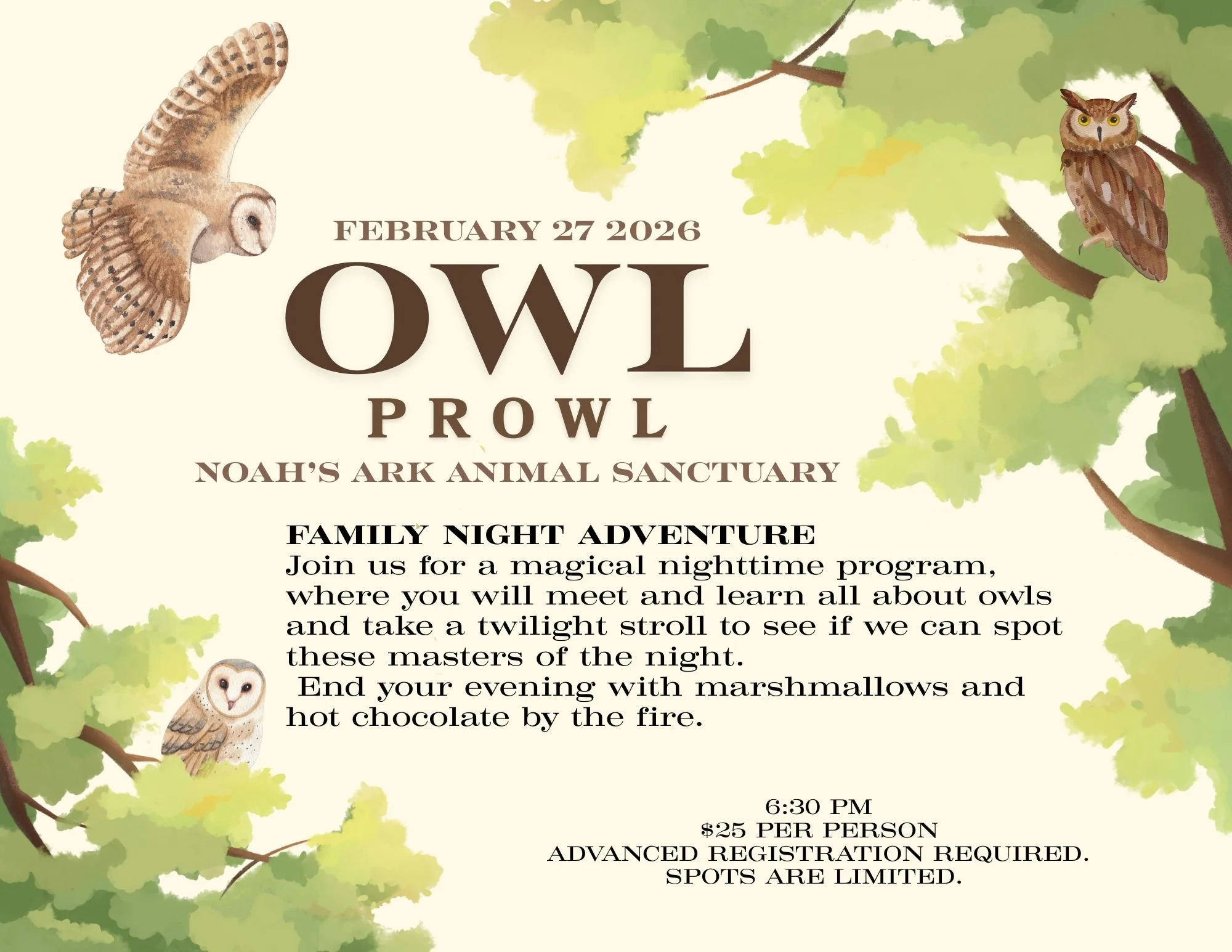 Owl Prowl