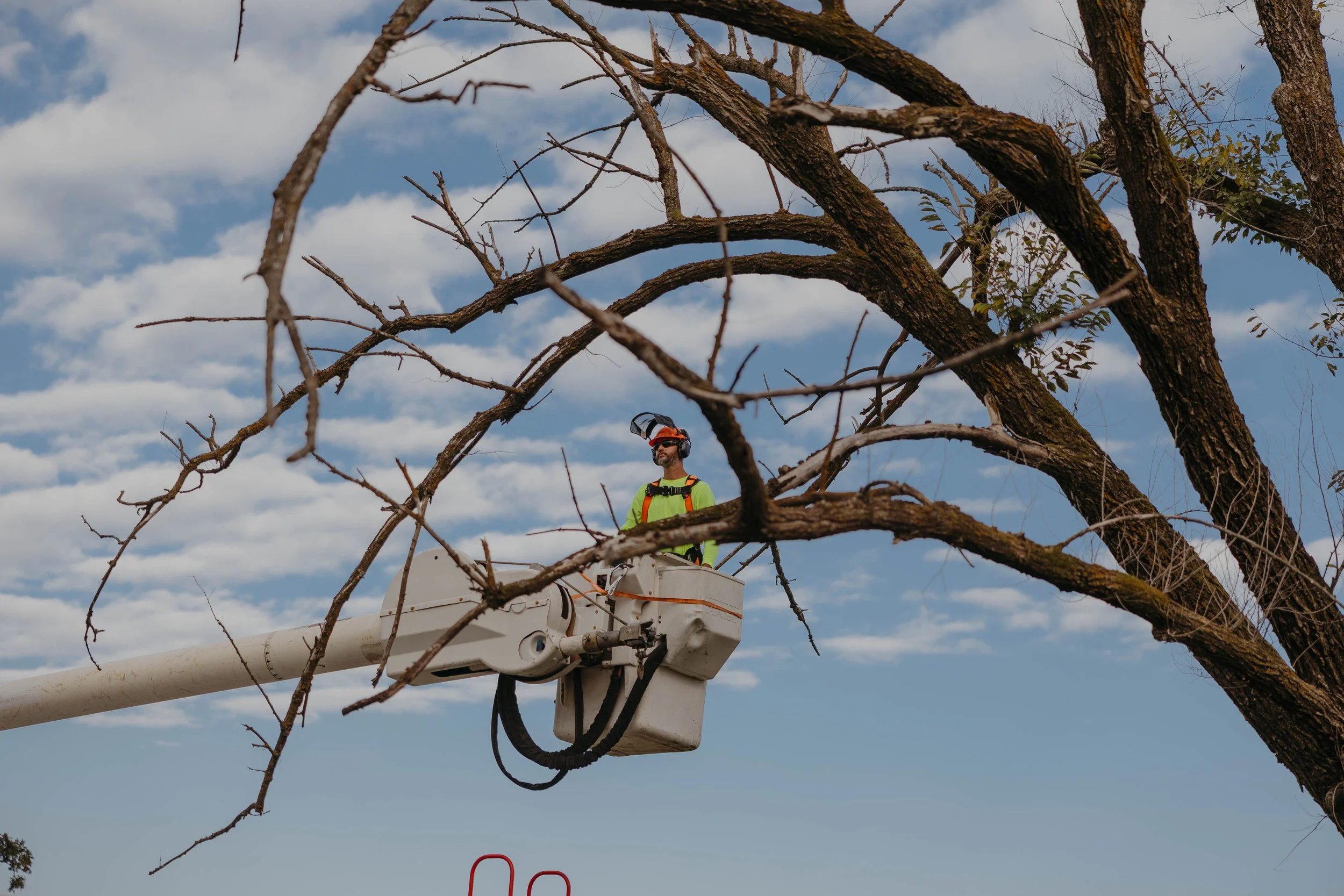 A worker in a cherry picker bucket cutting or trimming branches from a large tree against a partly cloudy sky.