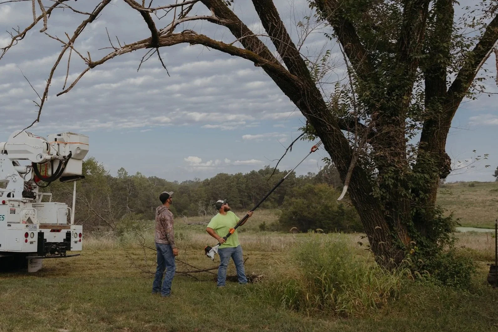 Two men are cutting or trimming a large tree with a pole saw. One man in a neon green shirt is operating the pole saw, while the other man in a camo hoodie stands nearby. A utility truck with equipment is parked on the grassy area.