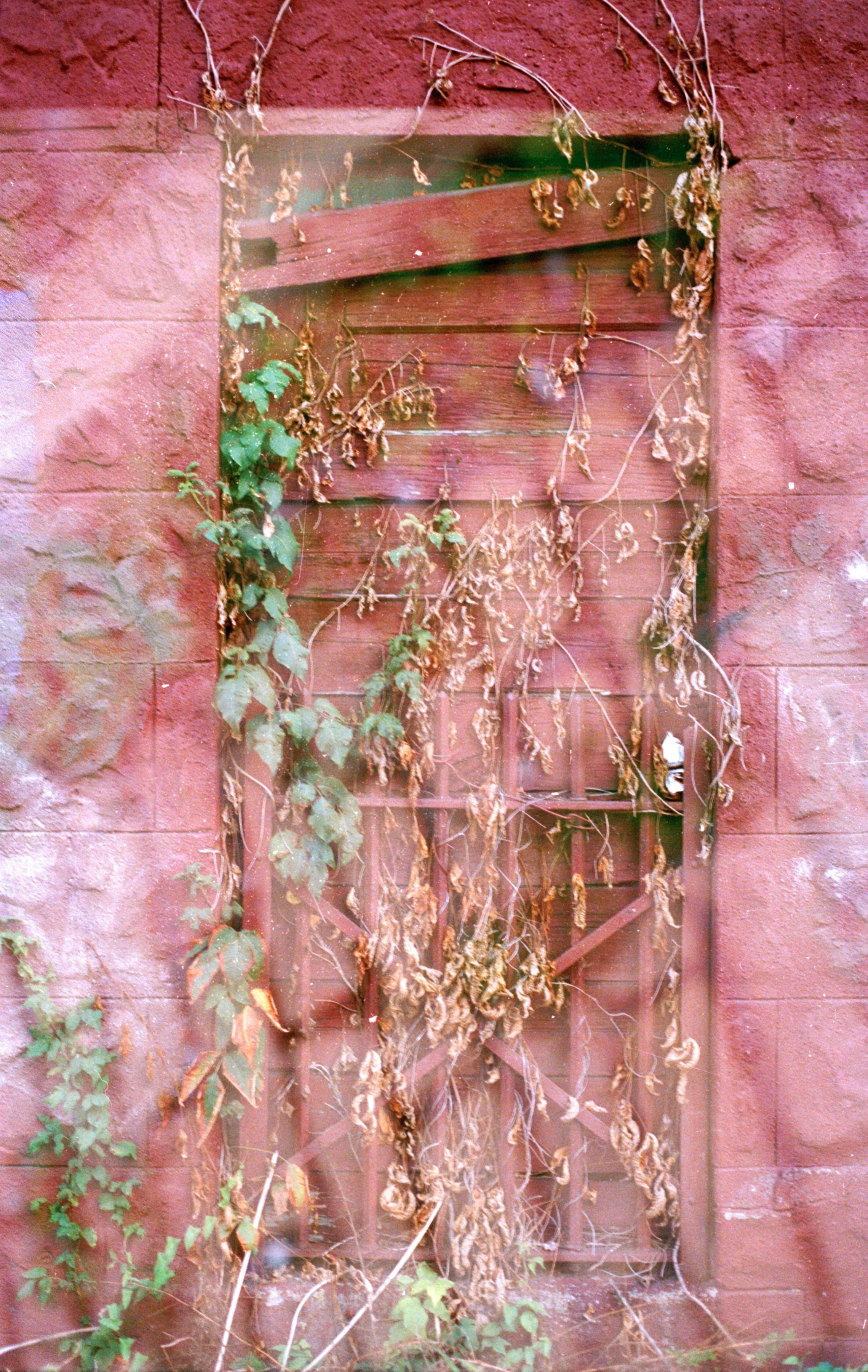 analog-port2025-12.jpg
