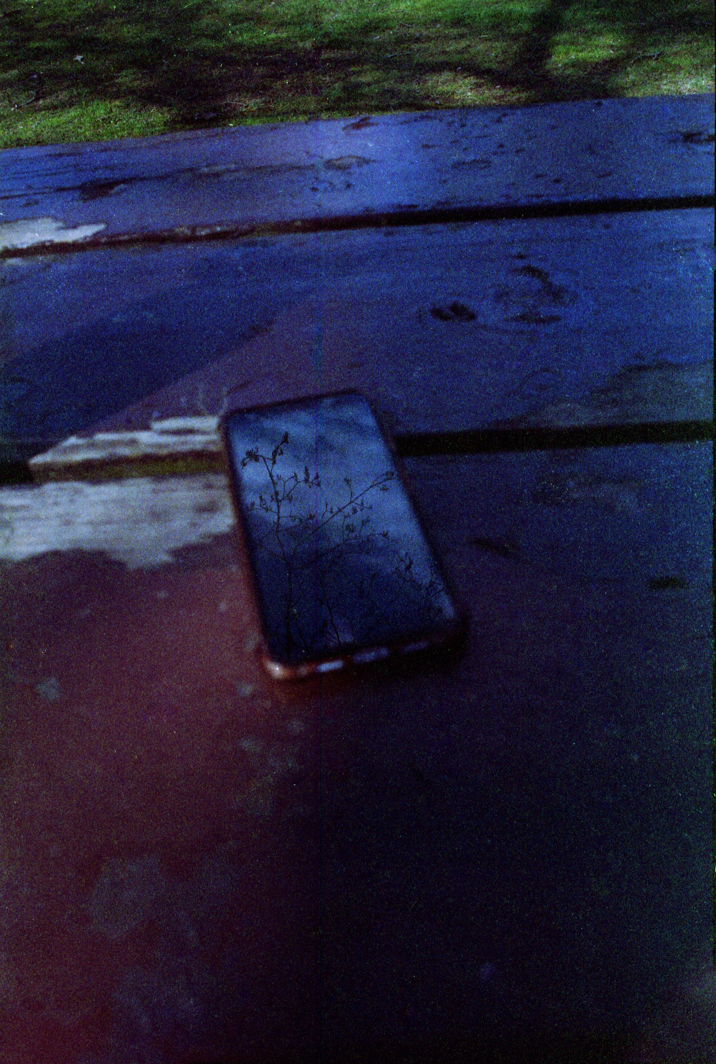 analog-port2025-56.jpg