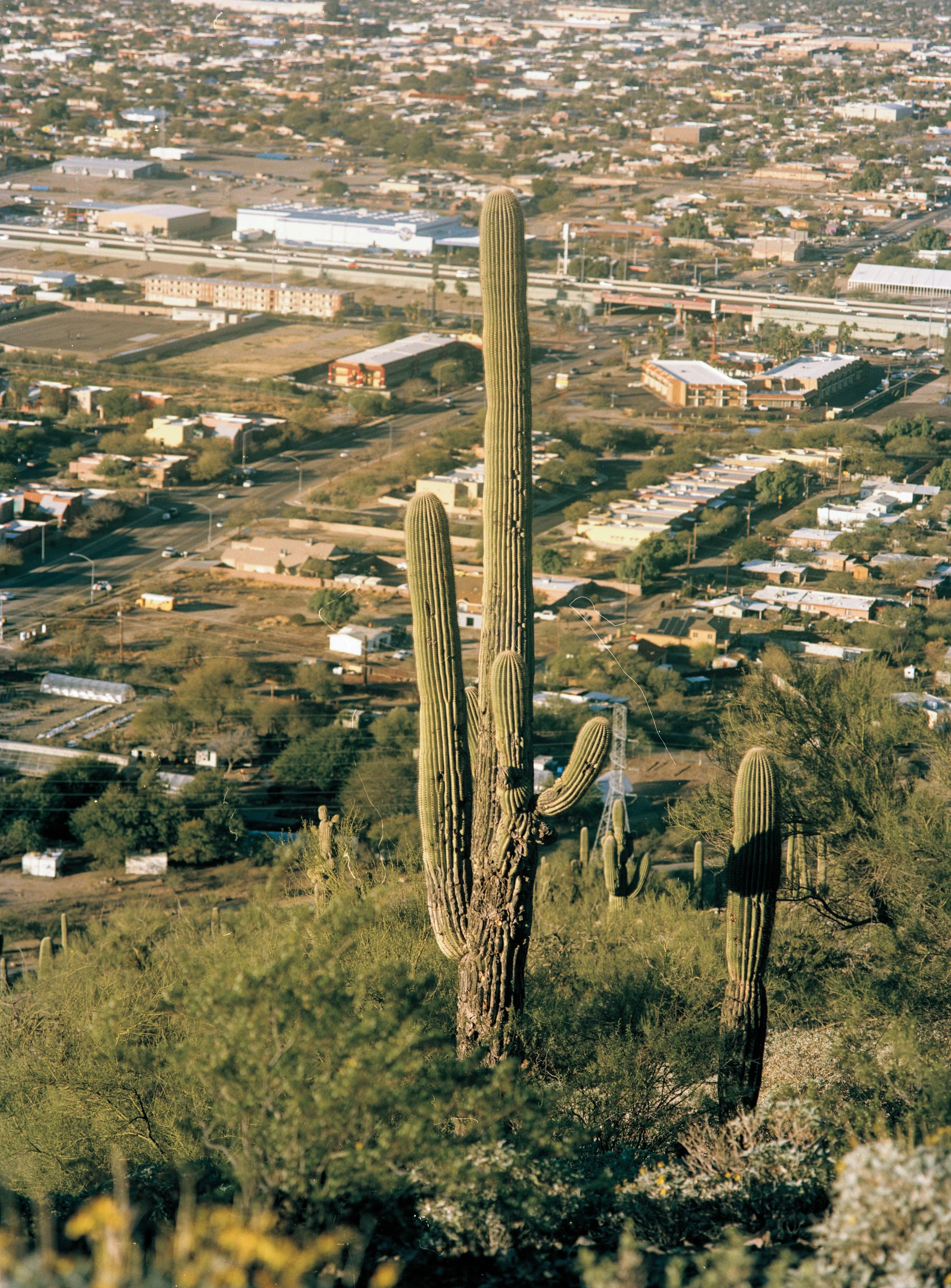 analog-port2025-40.jpg