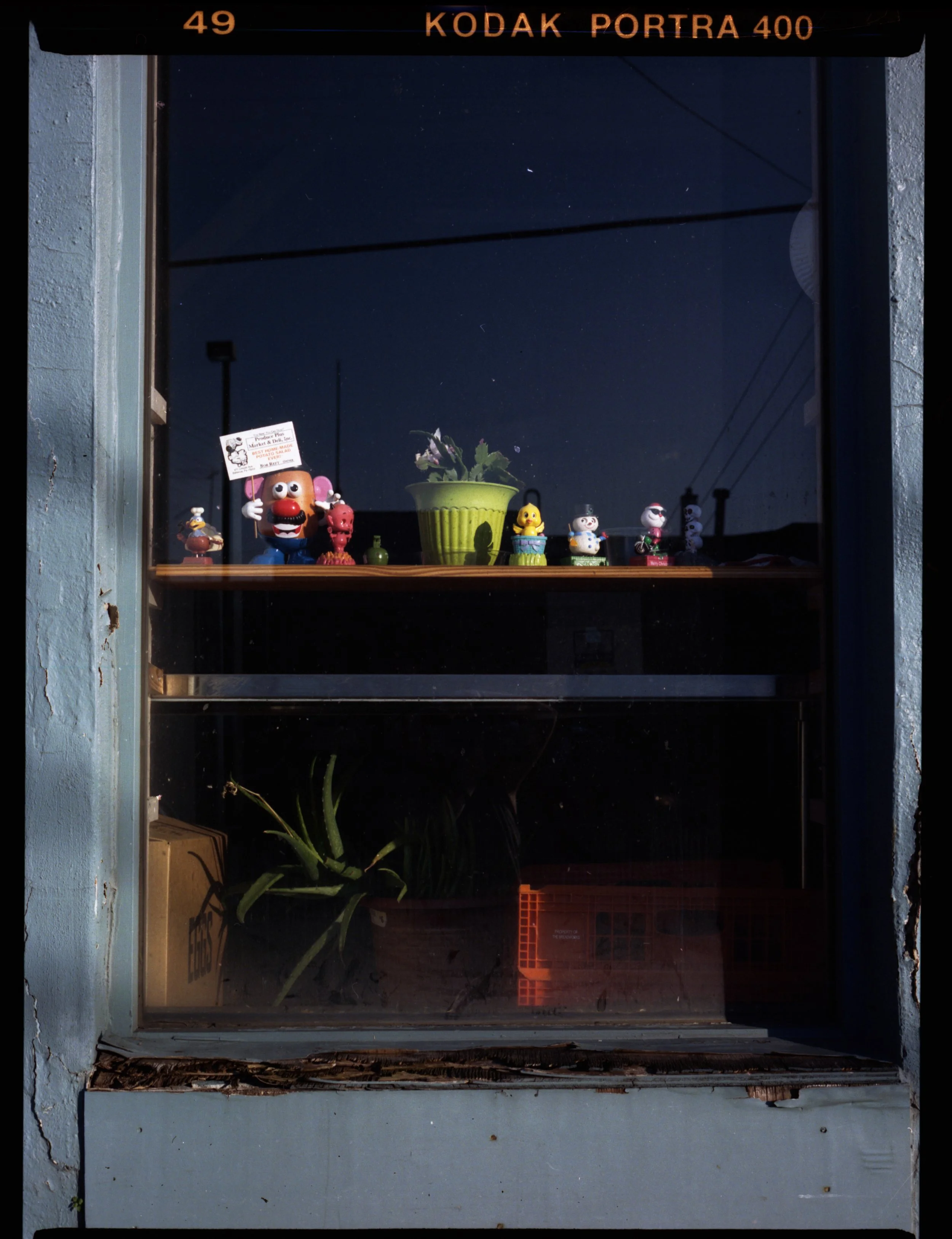 analog-port2025-52.jpg