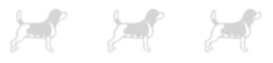 Three Beagles LLC