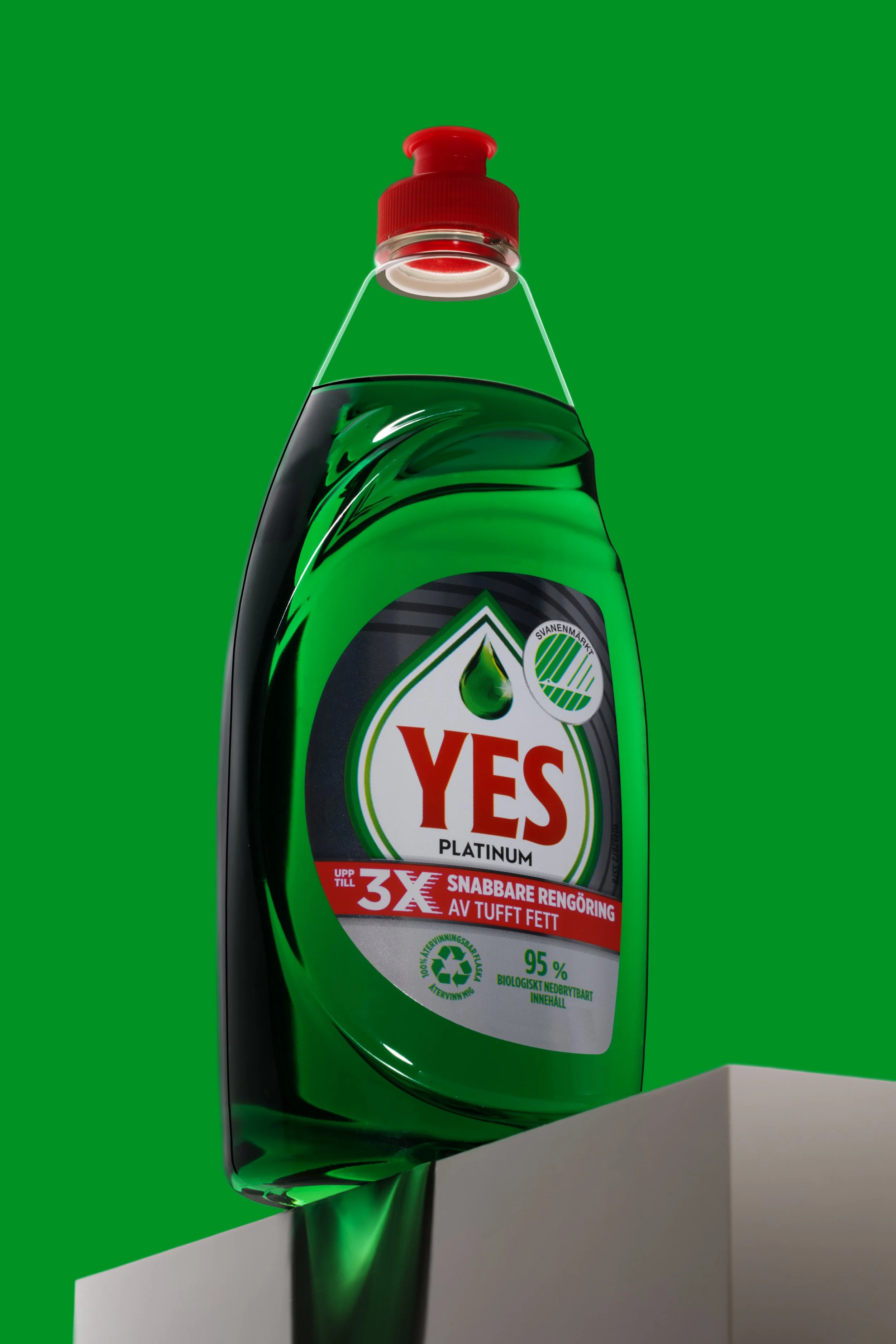 YES 7.jpg