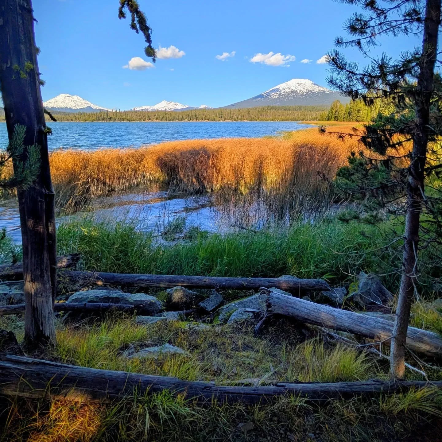 Lava Lake in the Fall is stunning - even though the store and RV park are closed it's still an incredible time to take in the beauty of this special place before it gets snowed in for winter! The mountains are sporting a fresh white coat &amp; the co