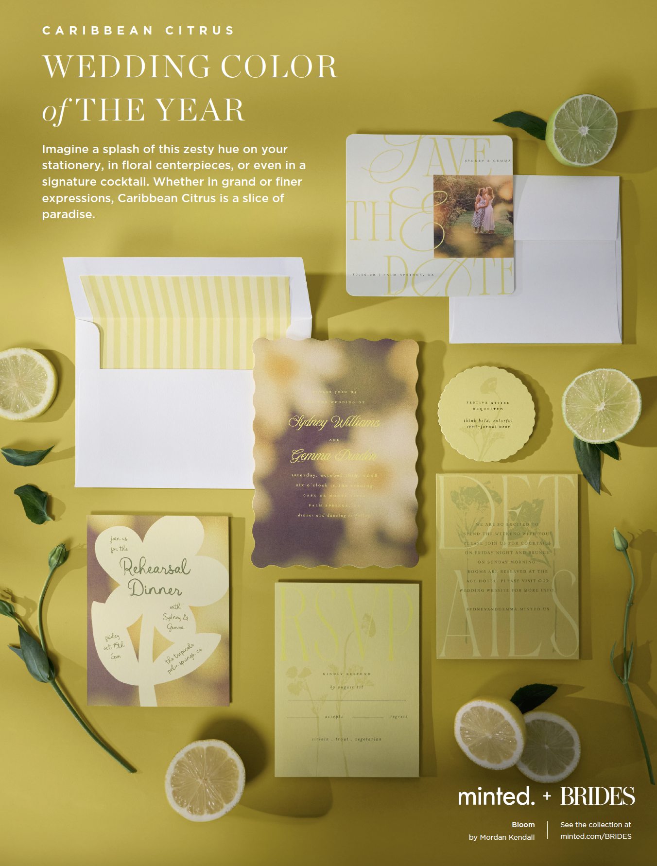 Screenshot 2025-12-12 at 11.15.23 AM.png