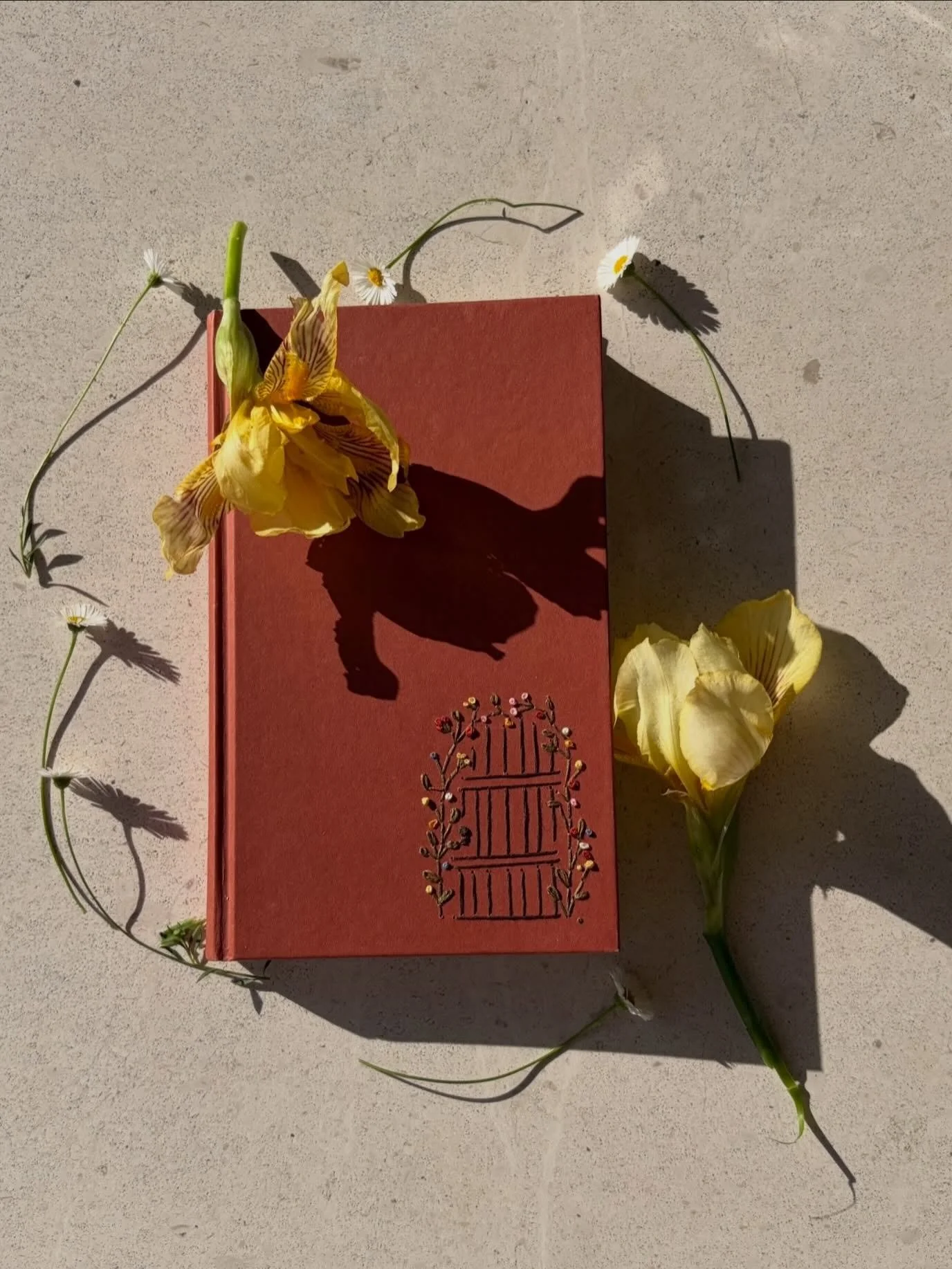 Cuando encontramos este ejemplar de El Jard&iacute;n Secreto, nos dimos cuenta de una cosa. Es un libro de segunda mano, una edici&oacute;n de 1994, y no lleva ninguna ilustraci&oacute;n, ni su portada dec&iacute;a nada. Es bastante metaf&oacute;rico
