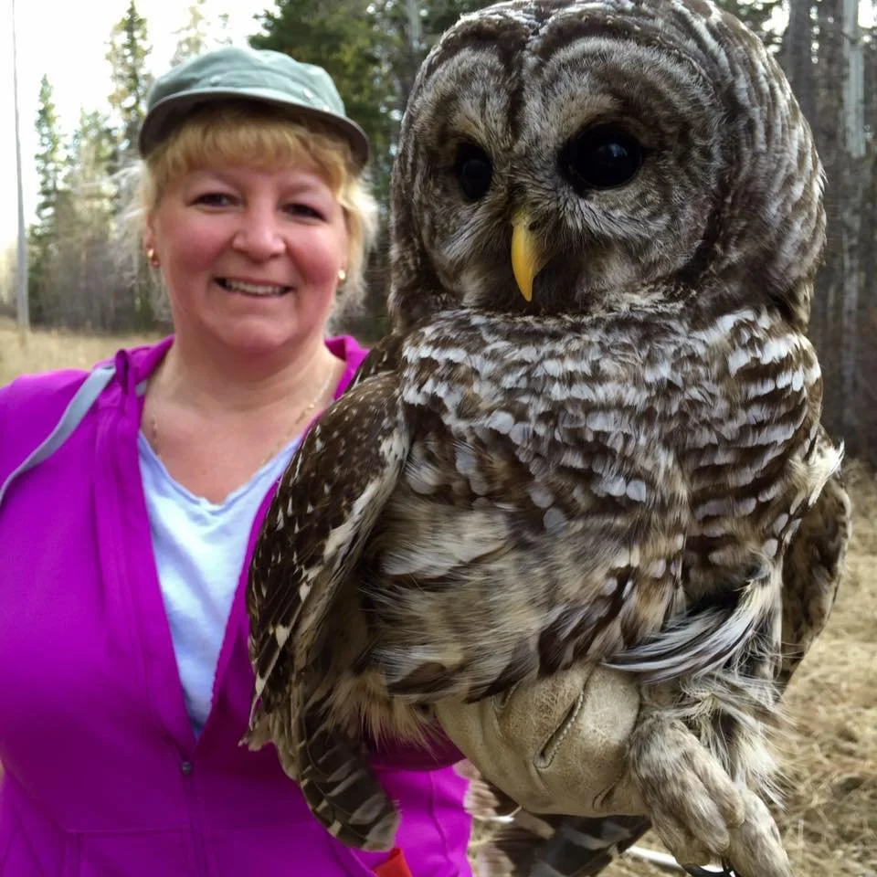Webinar: Owl Monitoring and Habitat Models