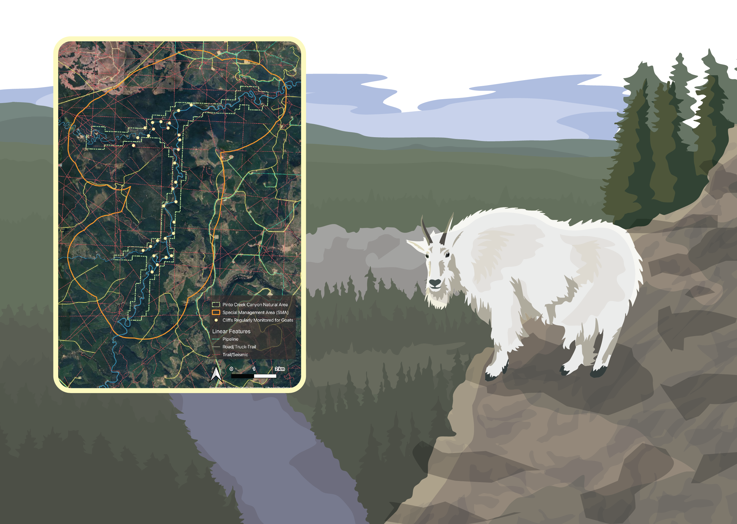 Pinto Creek Goats