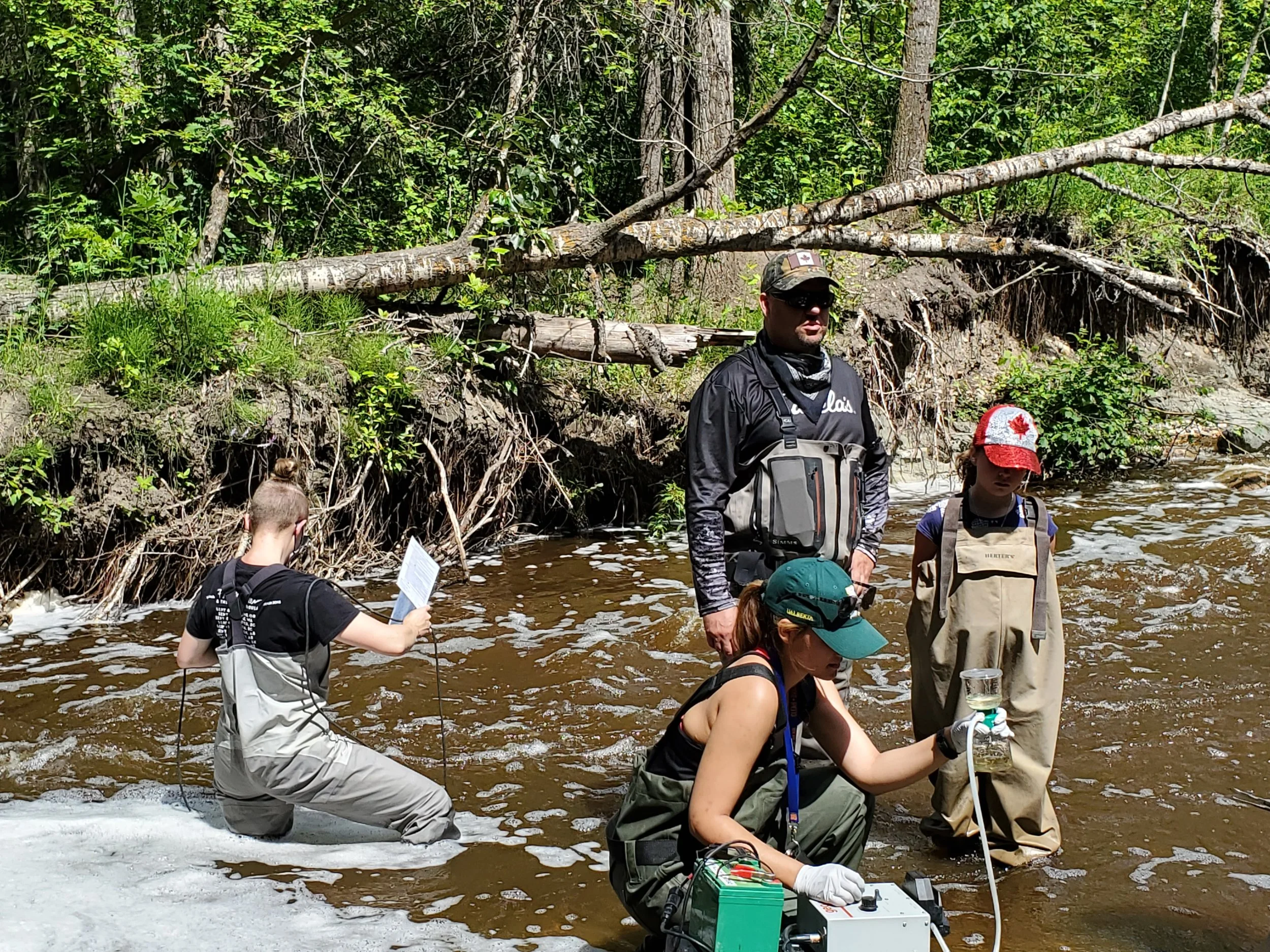 Webinar: Climate Change Risks and Bull Trout 