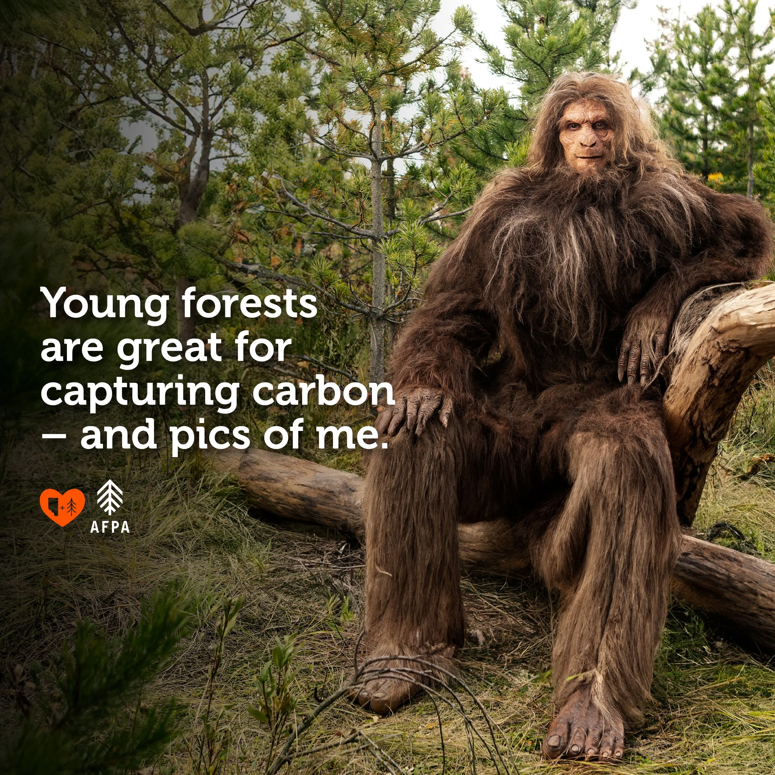 Love Alberta Forests: Growing Support for Alberta’s Forest Industry