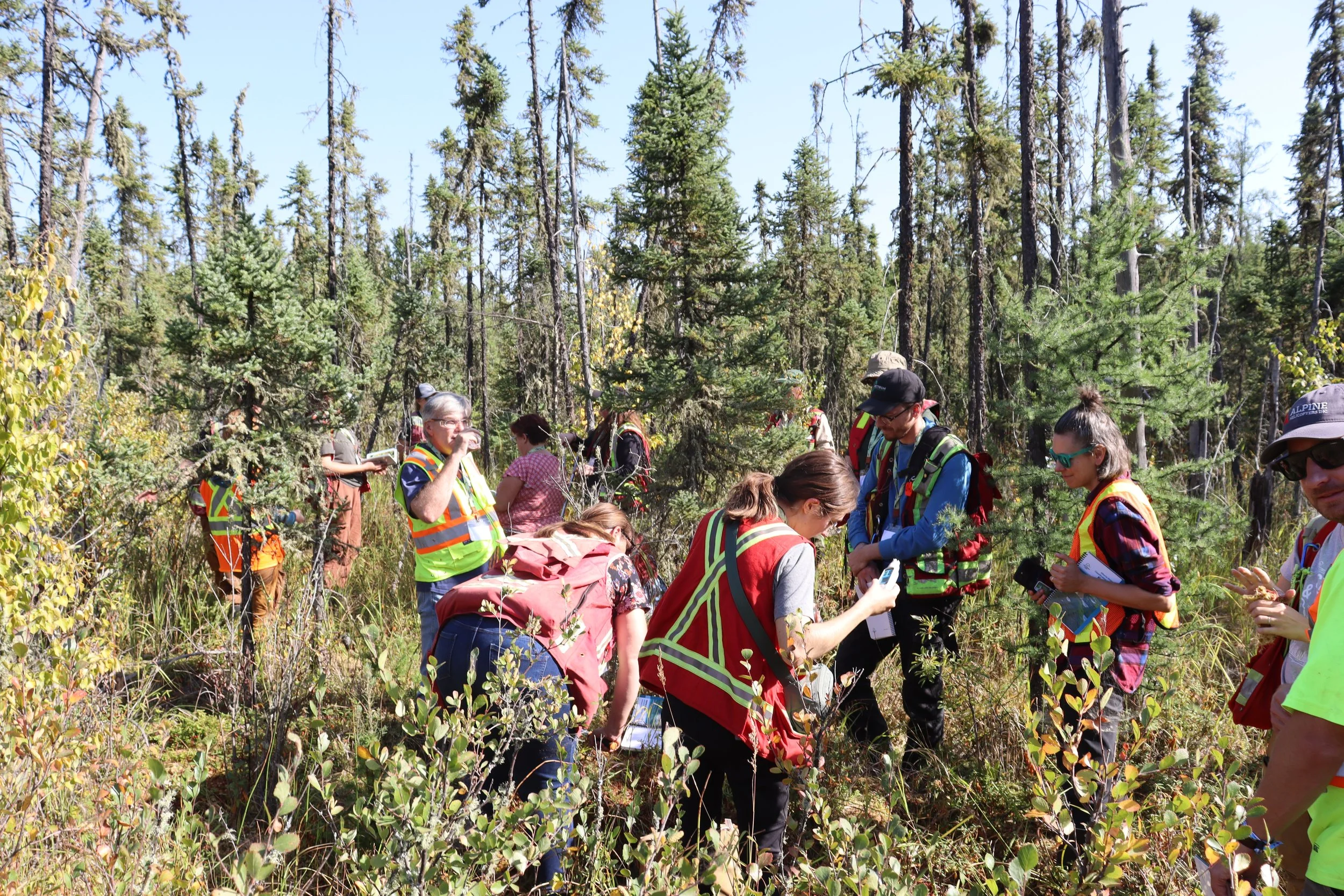 Webinar: Forest Management and Wetland Stewardship Initiative