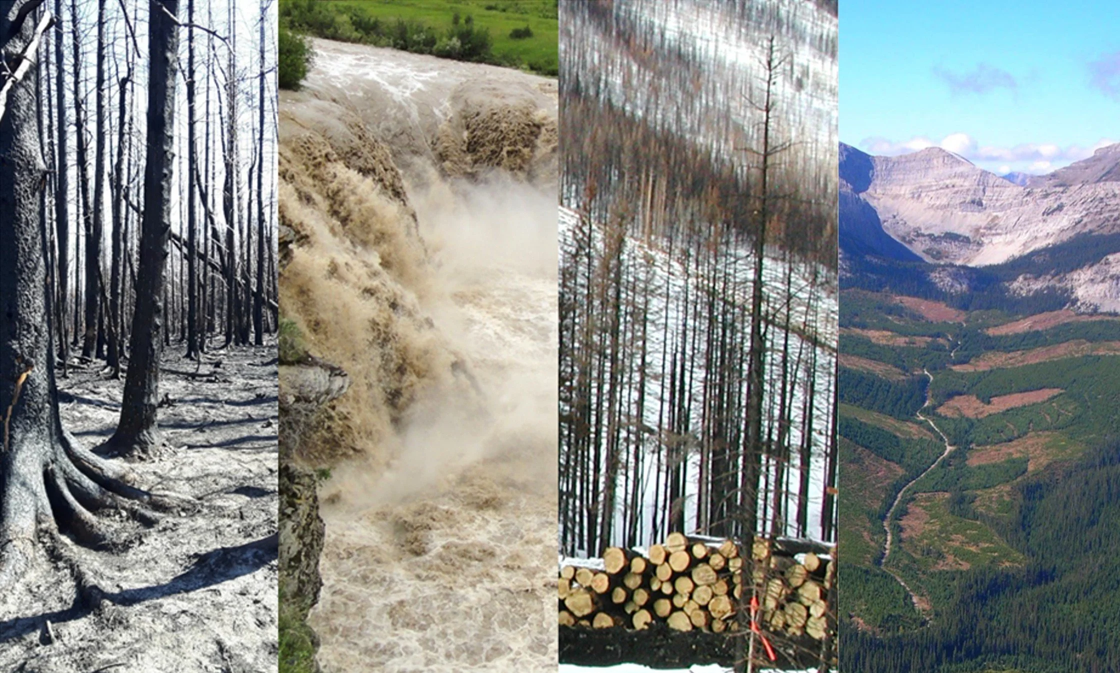 Upcoming Webinar: Impact of Forest Management Practices and Severe Wildfire on Water Quality