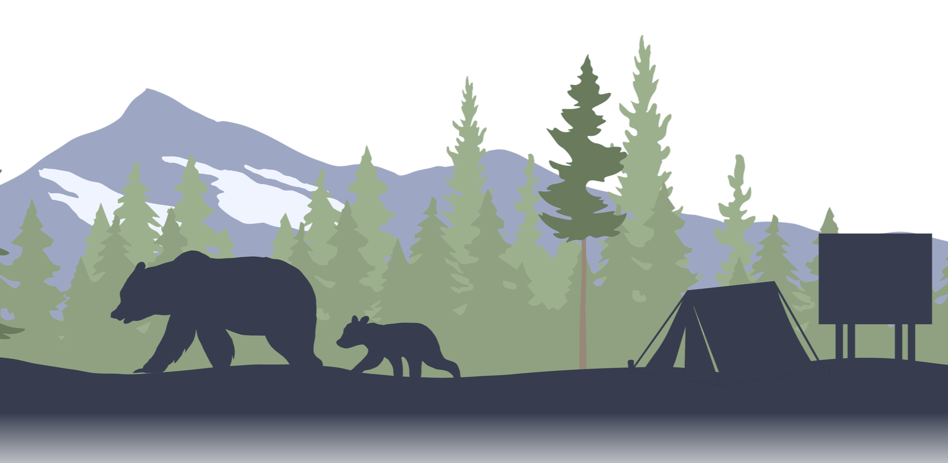 Reducing Human-Bear Conflicts in Clearwater County Camping Areas
