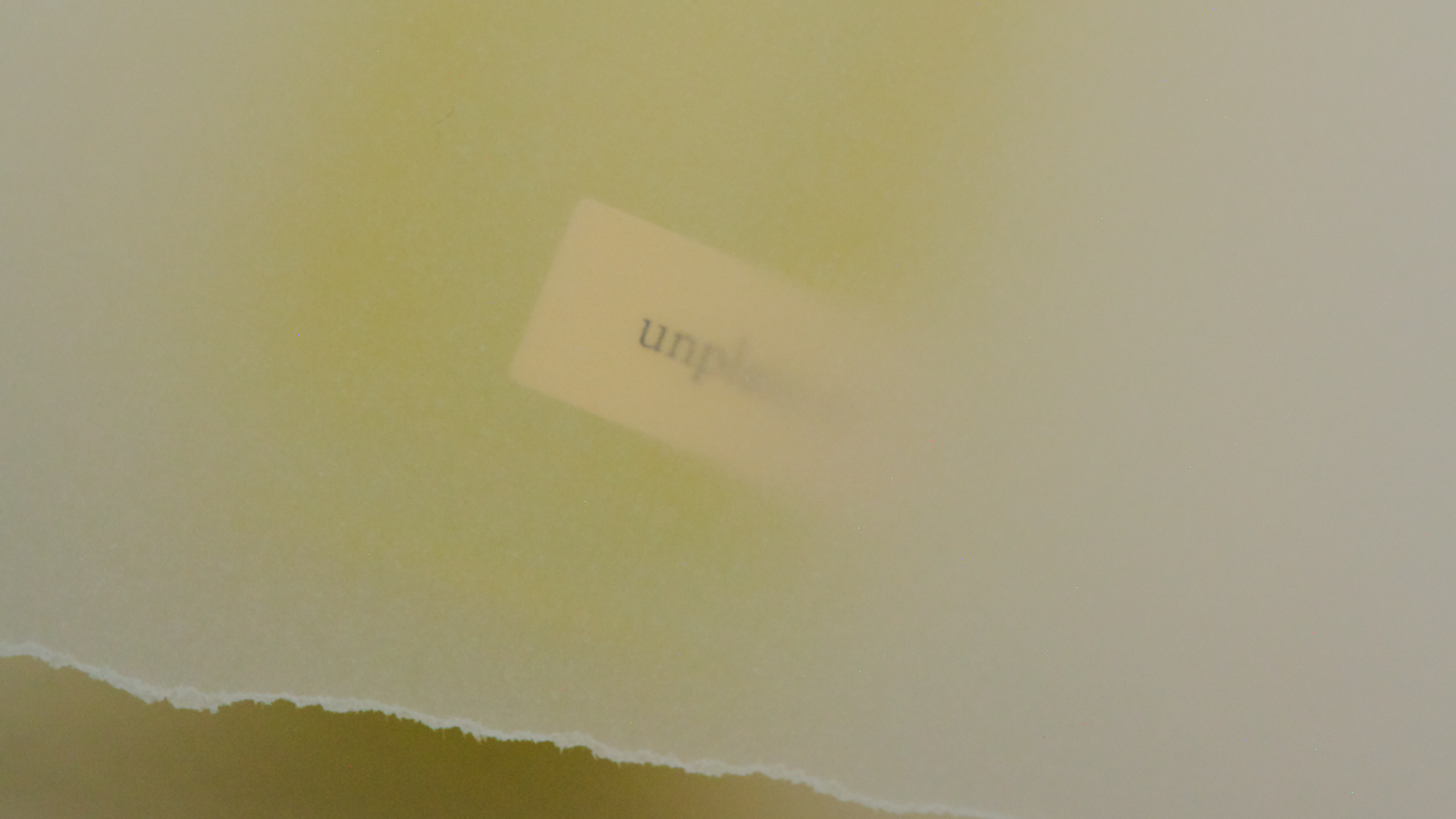 KatarinaBishopBeautyProductPhotographer 3.png