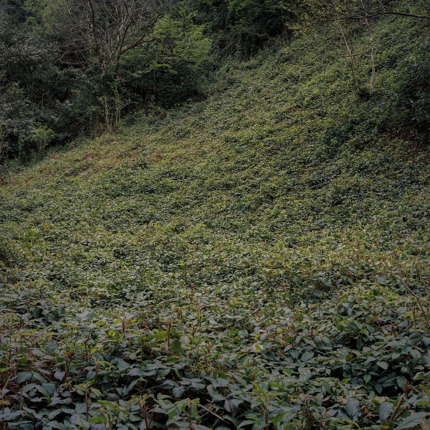 Katarina Bishop-13 1.03.32 PM.jpg