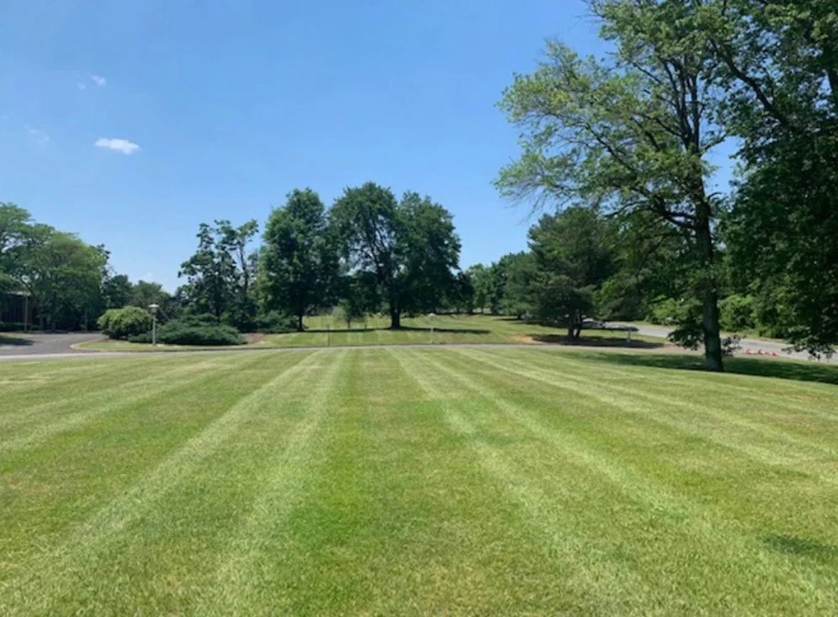 A well-maintained grassy lawn with evenly cut stripes, surrounded by trees under a clear blue sky.