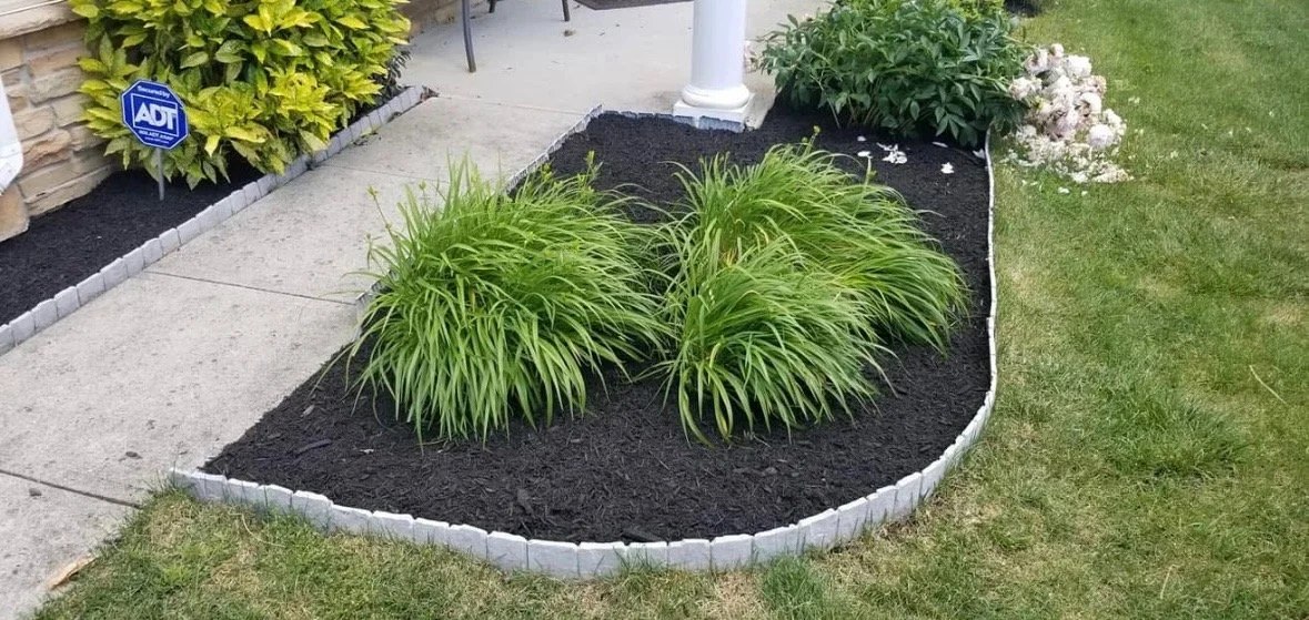 A landscaped garden bed with green ornamental grass, black mulch, and bordered with small white stones. There is a concrete sidewalk nearby and a partially visible house with a stone wall in the background.