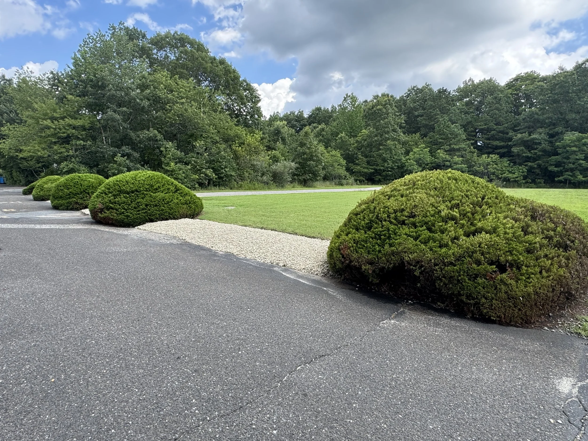 Line of neatly trimmed green bushes along a paved parking lot with a grassy area and a line of trees in the background under a partly cloudy sky.