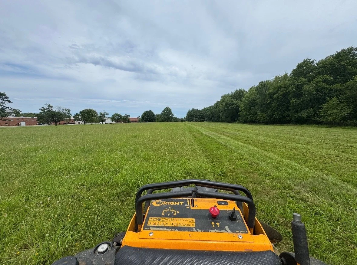 View from a lawn mower in a large, grassy field with a row of trees on the right and houses in the background under a cloudy sky.