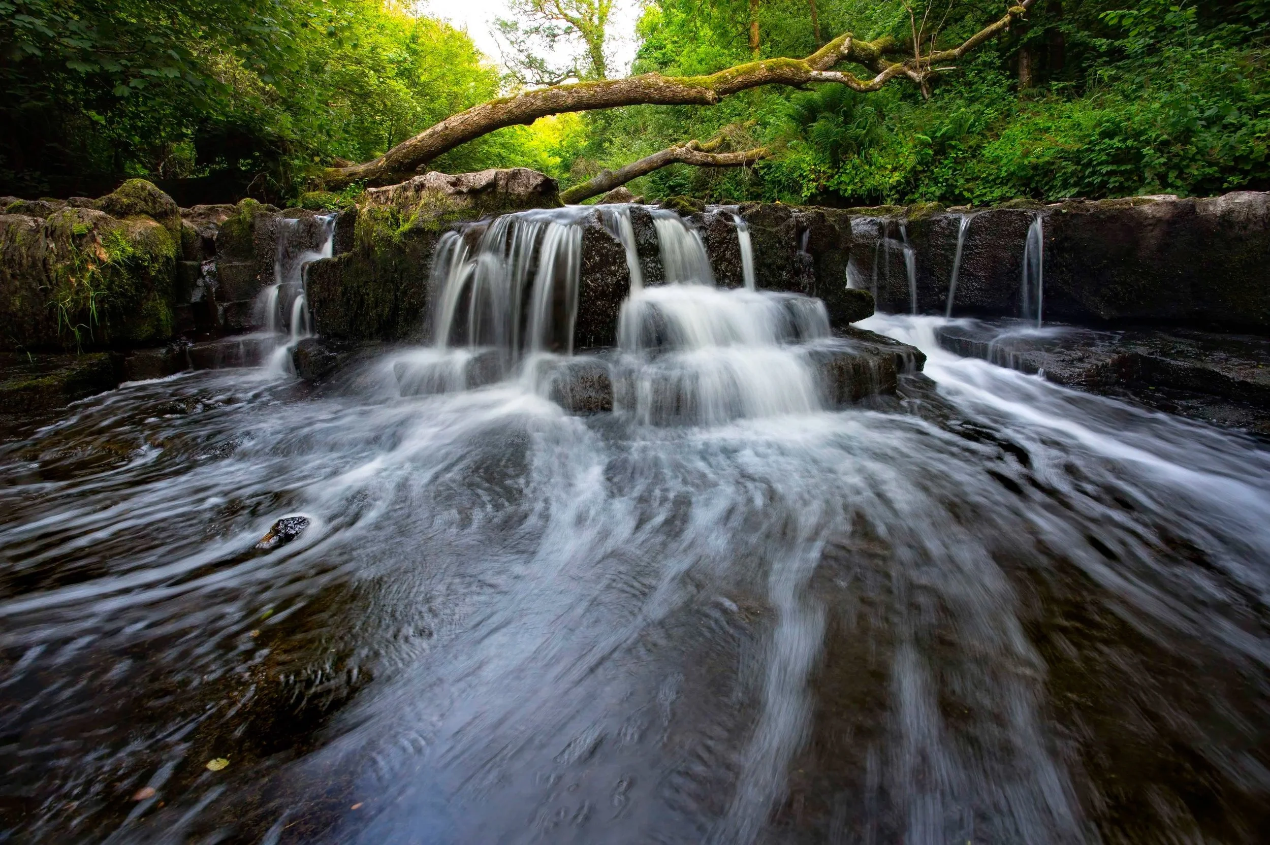 Caaff  Water in Dalry