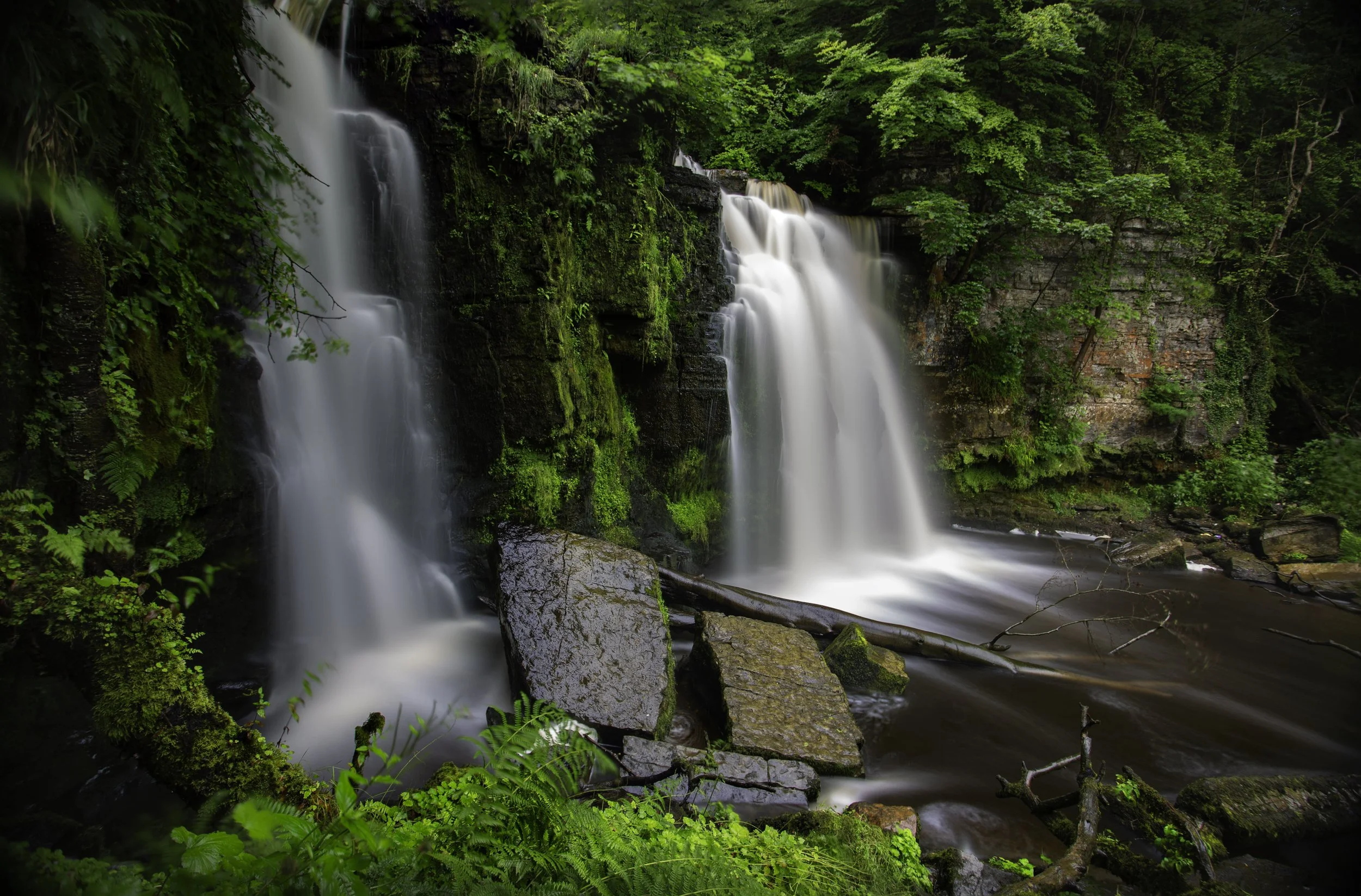 LINN FALLS DALRY