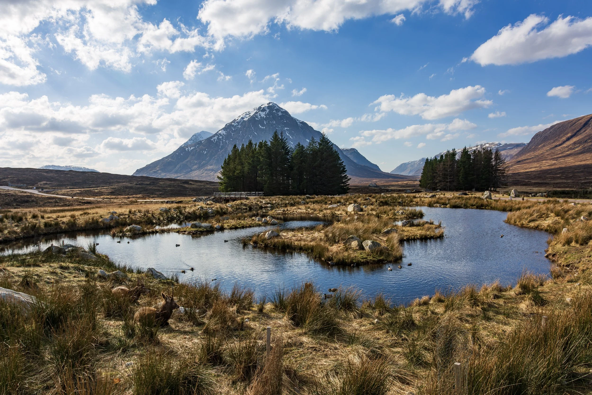 1L5A0032-Enhanced-NR copy.jpg