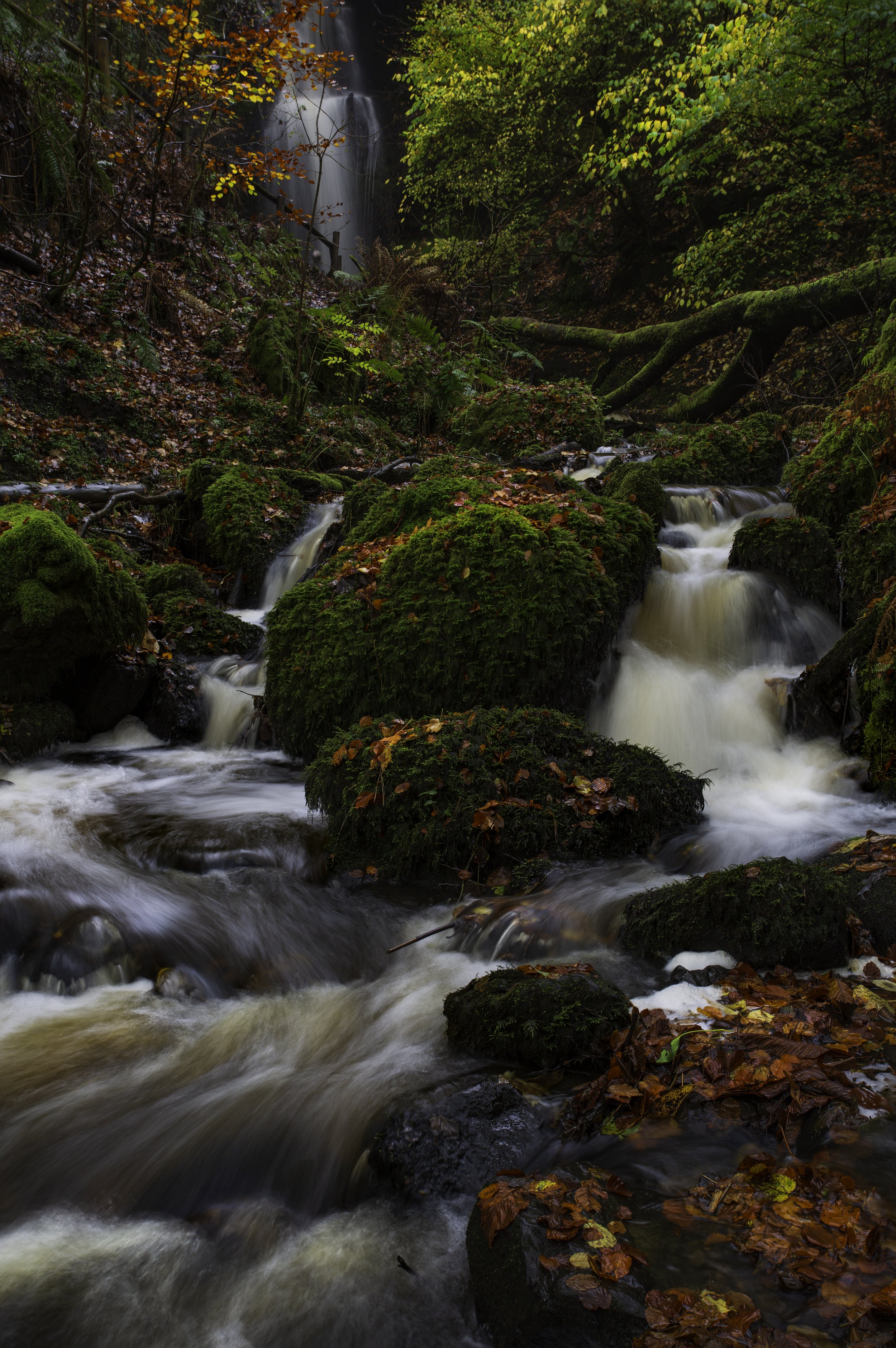 Craigie Linn Waterfall