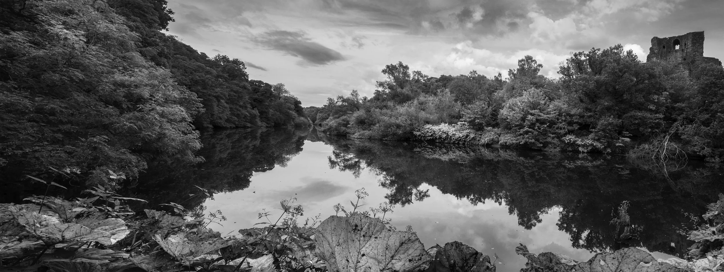 _T3A0125-Edit bw.jpg