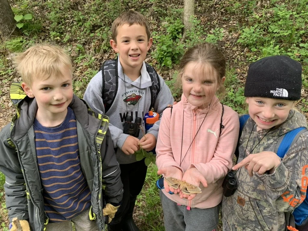 young butterfly.jpeg