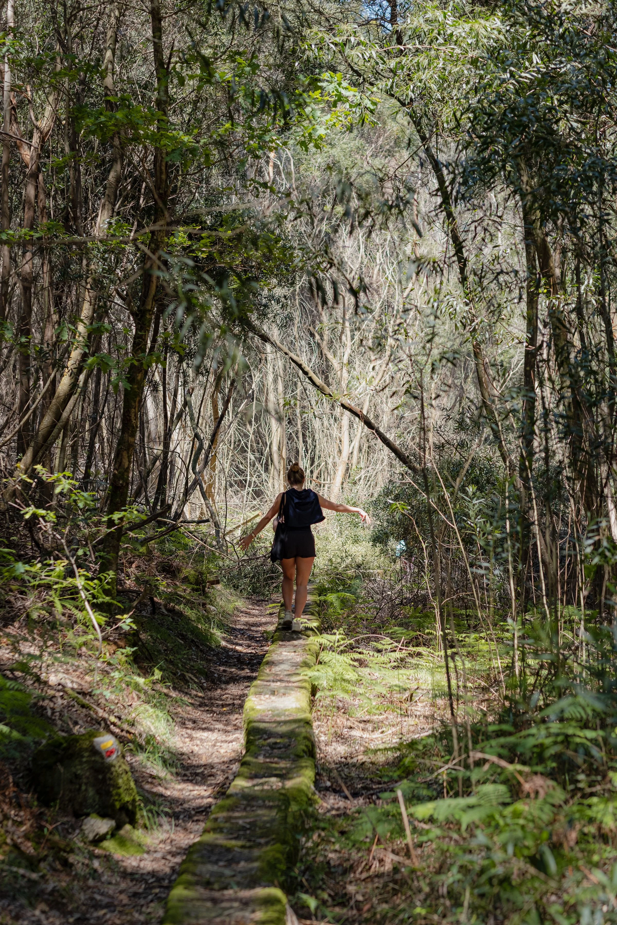 AnotherMusexGirlsGetGlobal6 (1).jpg