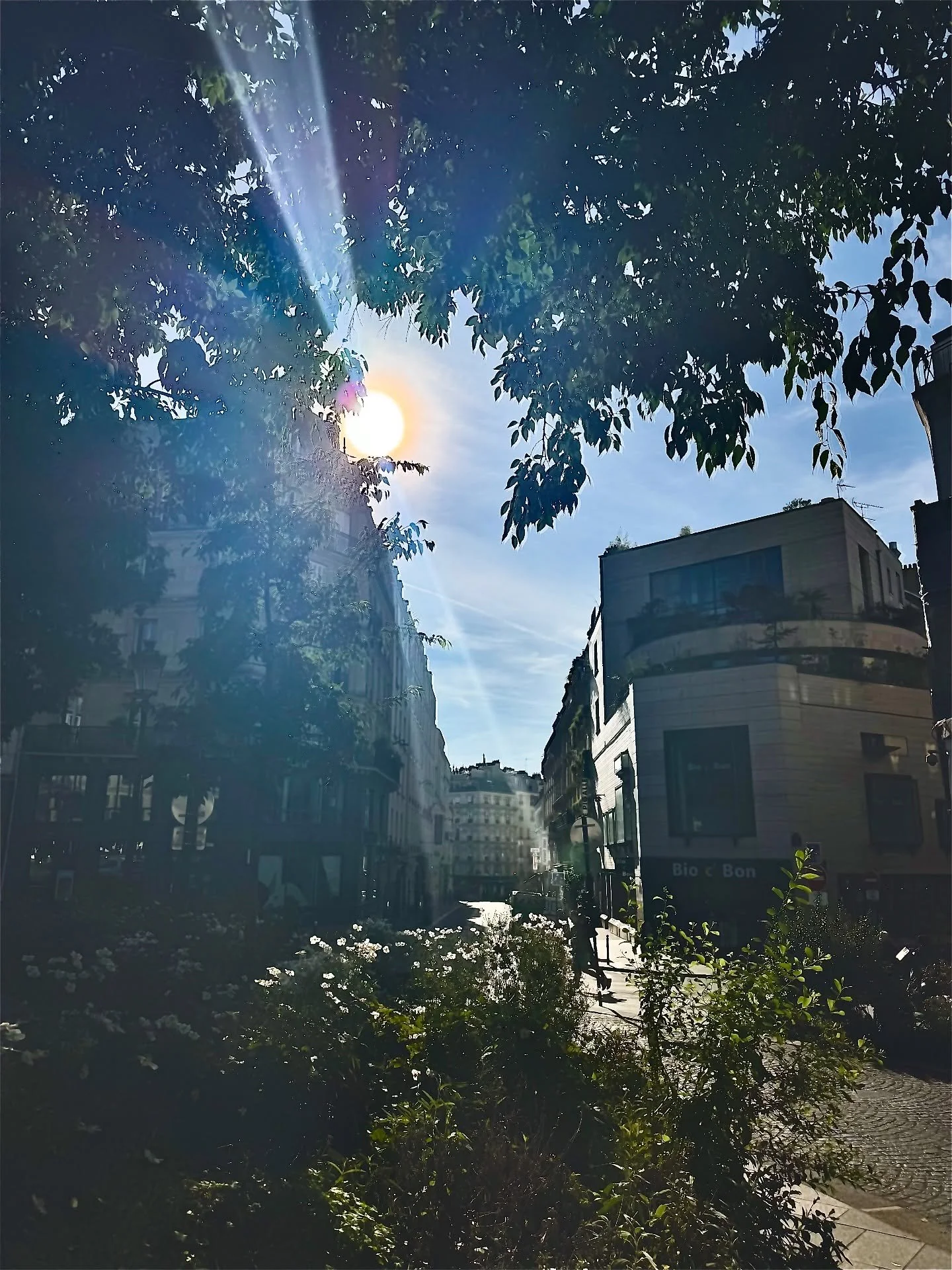 Postcards from 20 hours in #paris 🦋