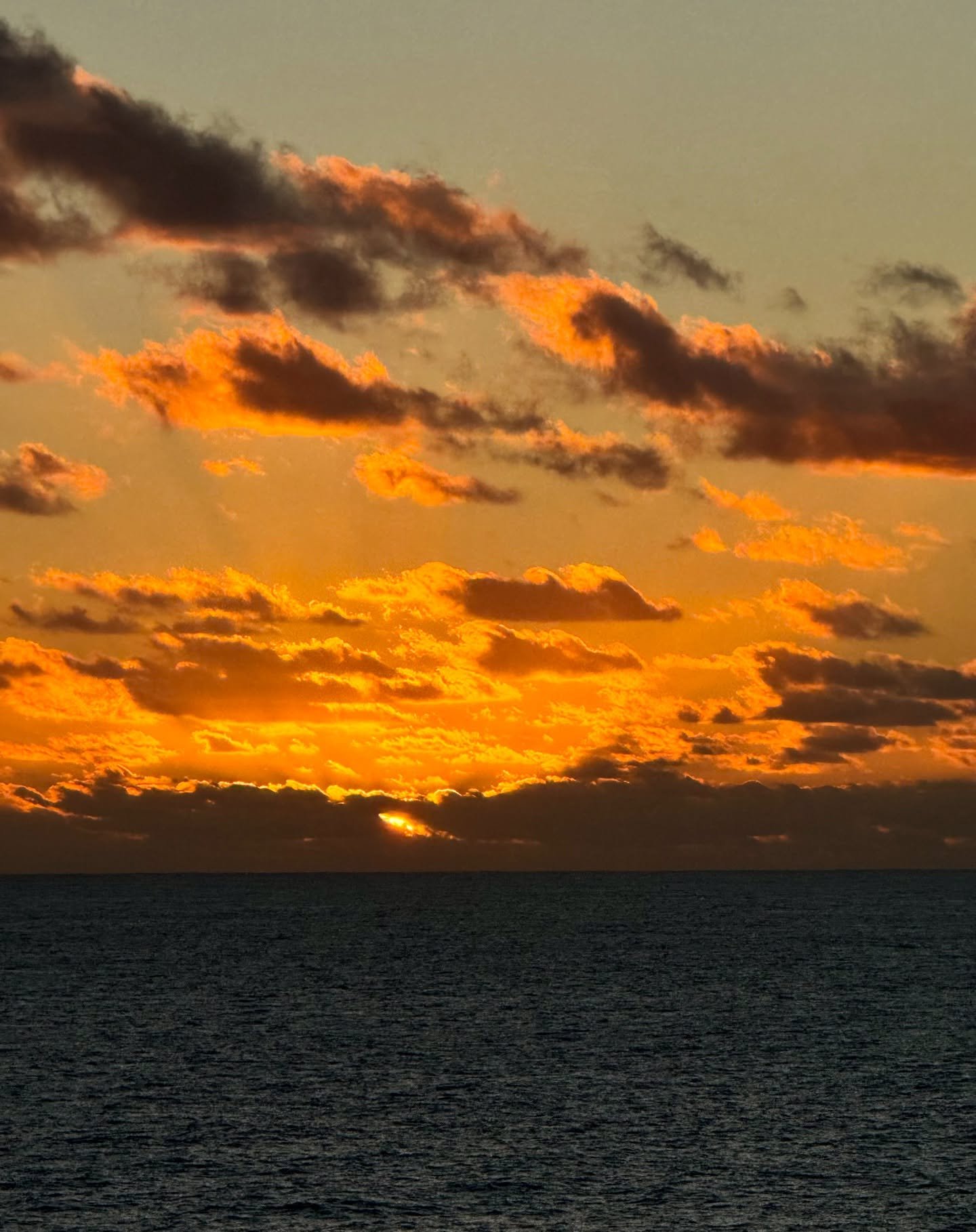 Colours of #normanisland