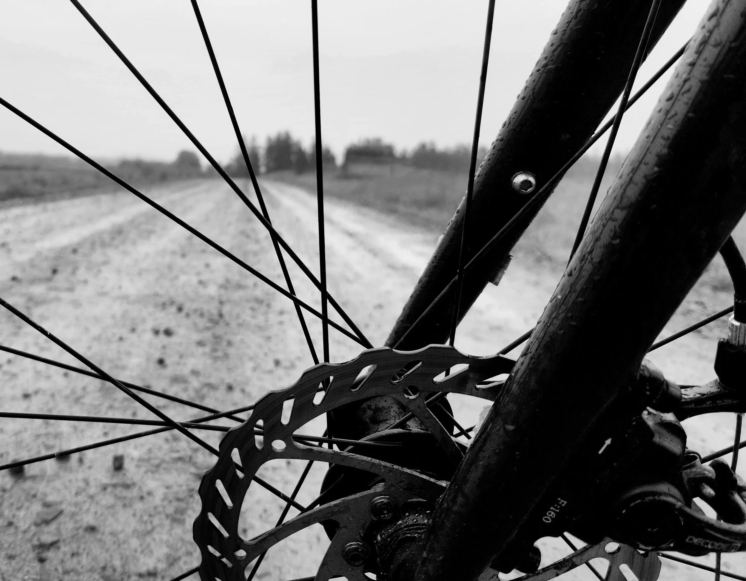 20250608_171138-EDIT (1).jpg