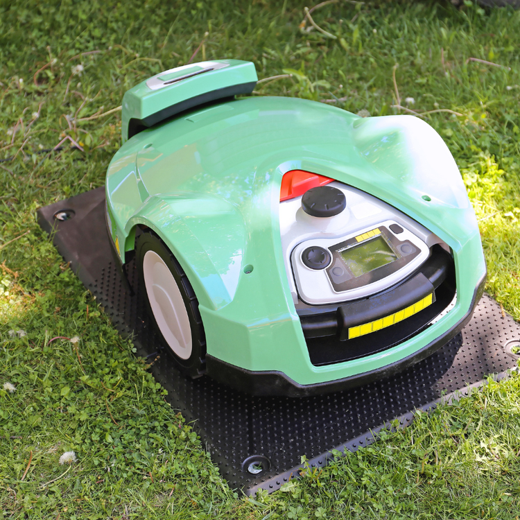 Robot lawn mower in Canadian backyard