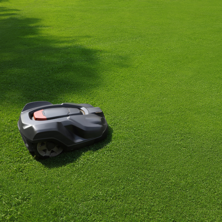 Healthy green lawn Canada