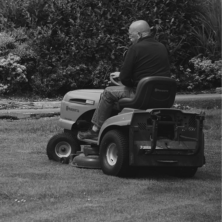 Best robotic lawn mowers Canada 2026
