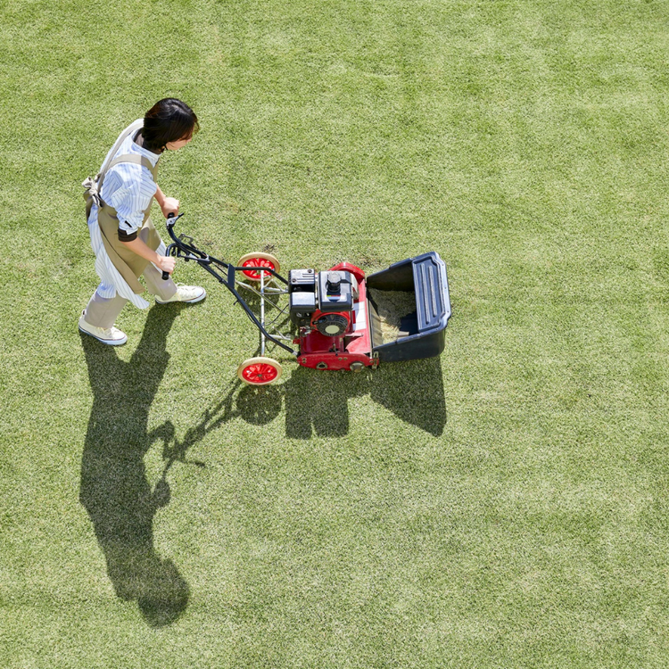 Robotic lawn mower in Canadian backyard