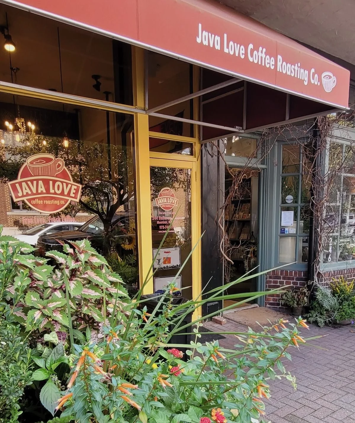 Java Love Coffee Roasting Co. in Montclair, NJ