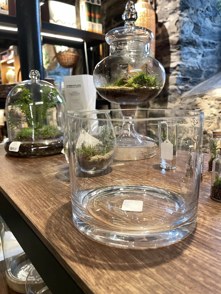 6" Glass Cylinder Terrarium Workshop