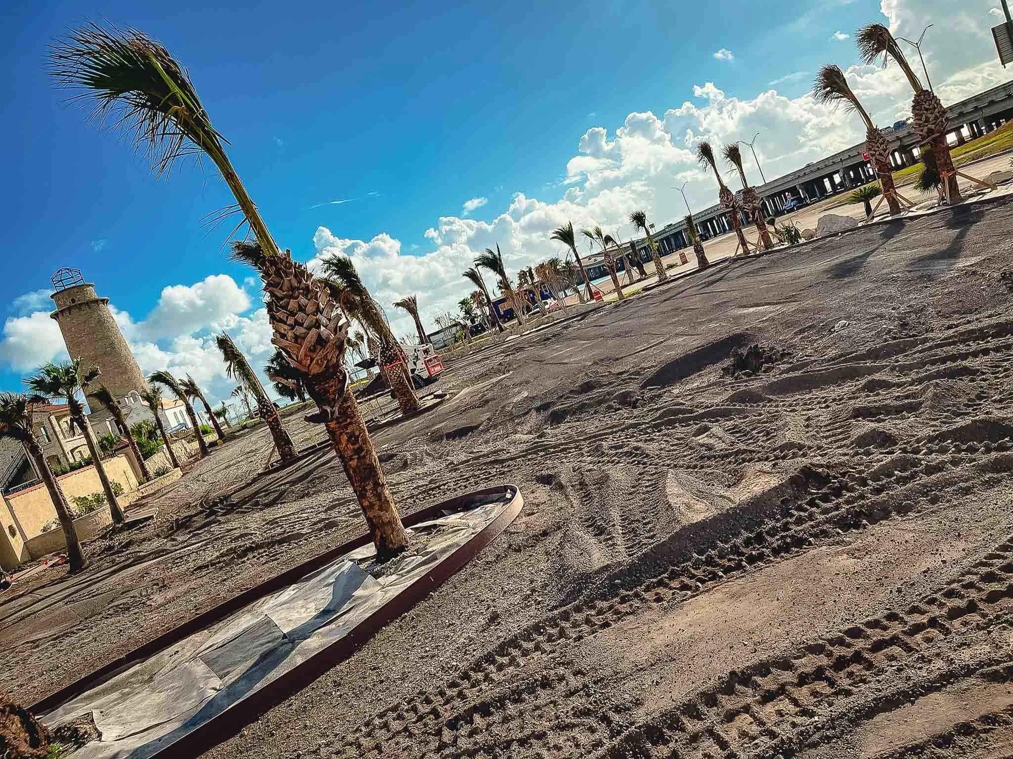Corpus-Christi-Port-Aransas-Laguna-Landscapes-115north-beach-lighthouse-pointe-commercial-construction-palm-treescommerical-landscape-construction-north-beach.jpg