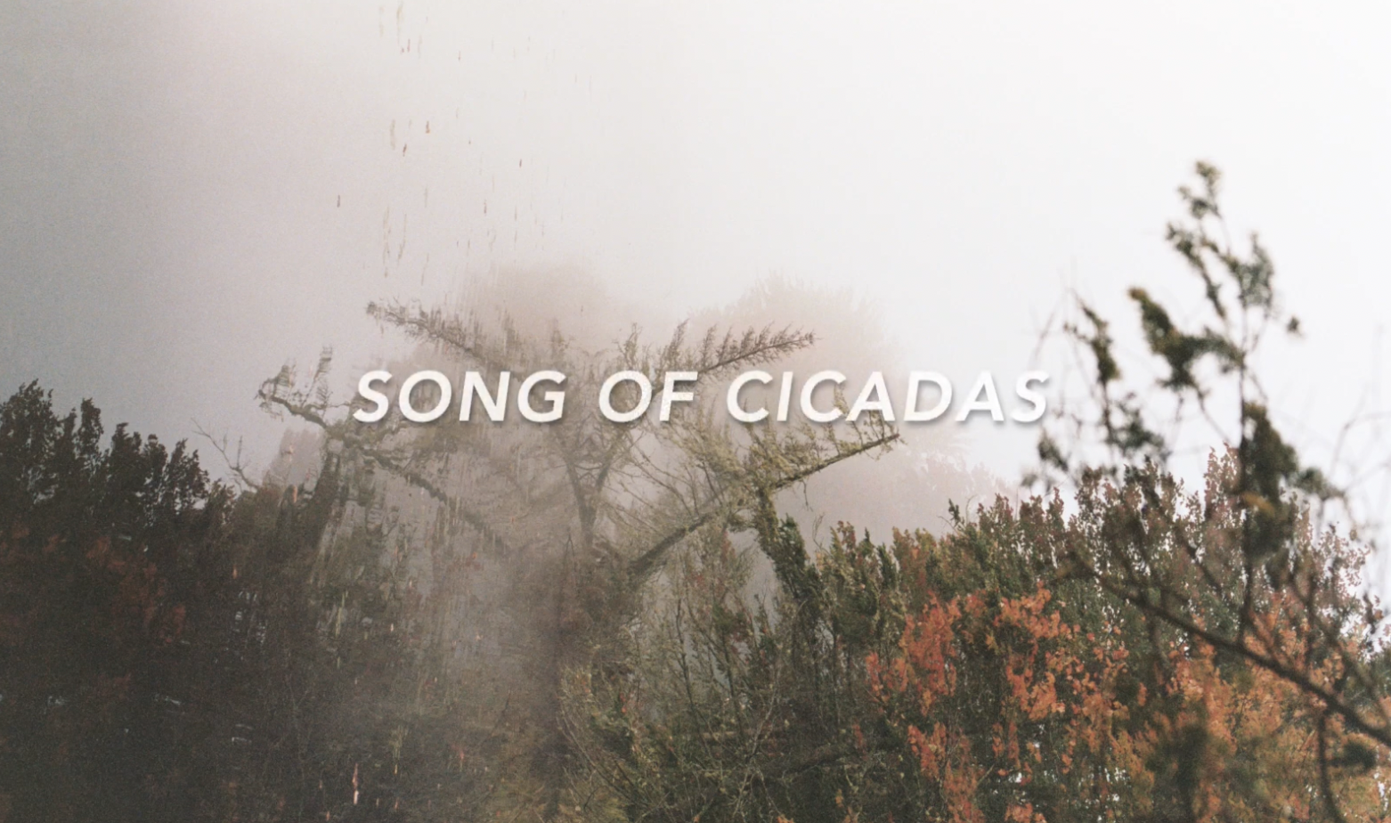 Song of Cidadas 