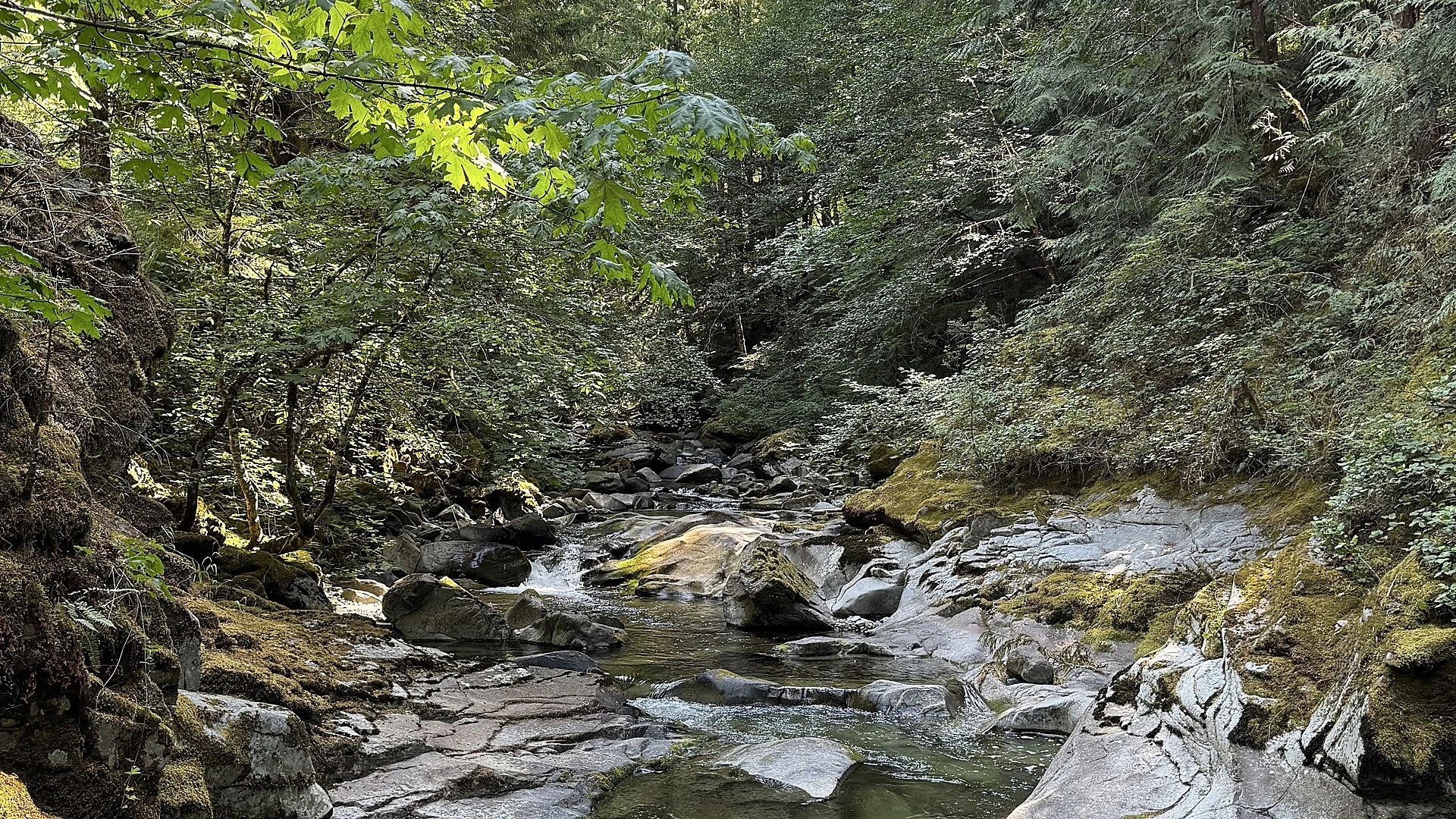 Clear stream over smooth rocks — soft teal light, calm flow.