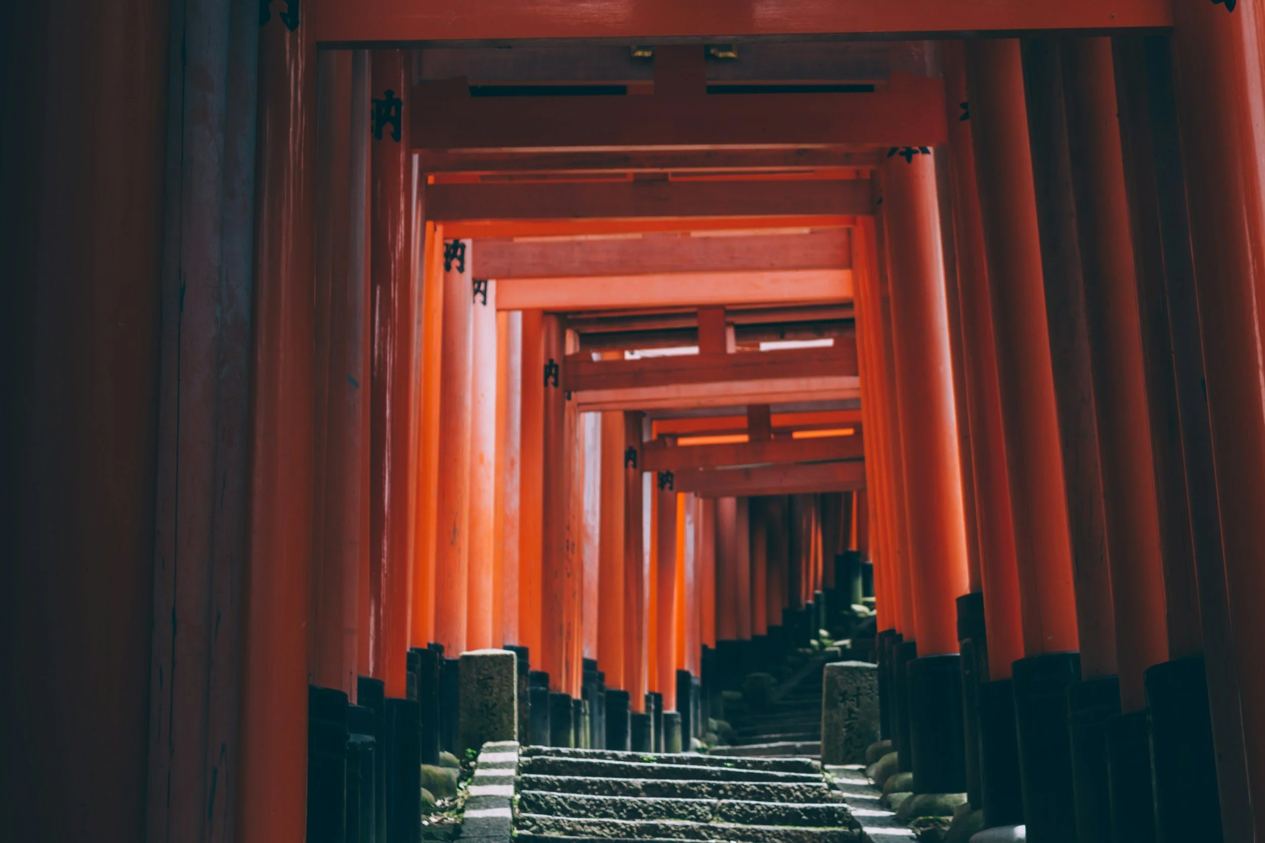 unsplash-image-bUju0q_B8Qk.jpg